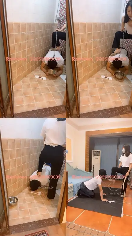 厕主王菲-今天没黄金喂喂圣水和姨妈巾