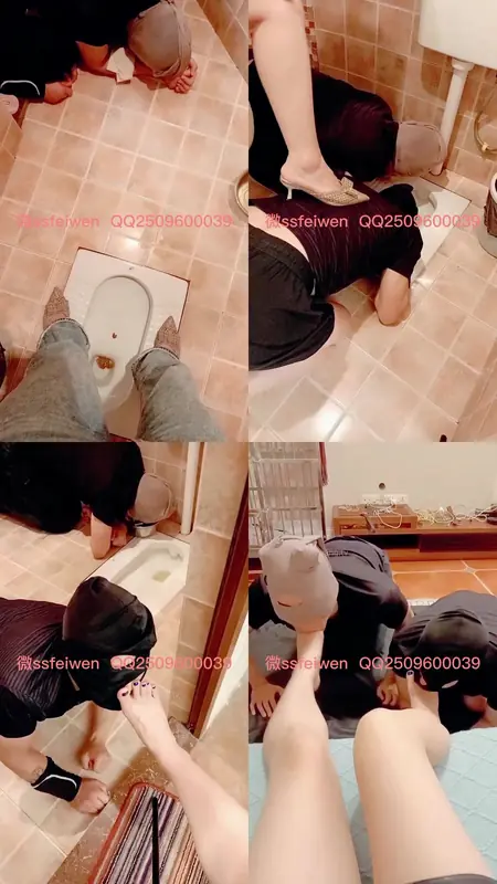 厕主王菲-调教只配活在厕所里的贱狗