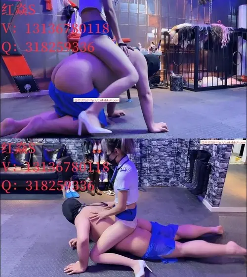 红炎-骑马遛狗爬行