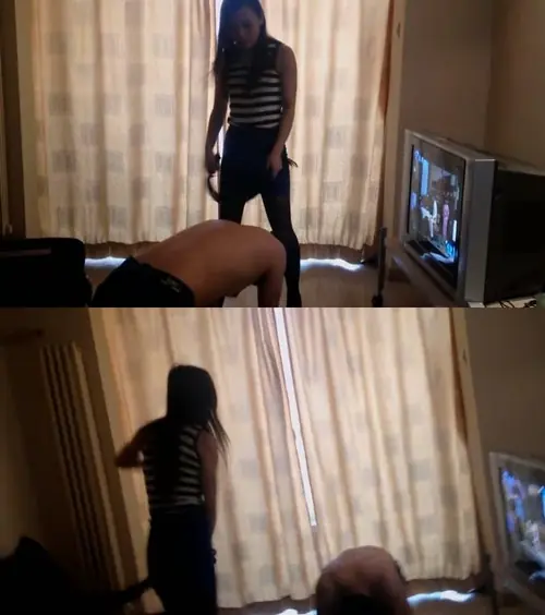 玉蝴蝶-狂扇蹭腿狗视频S狂扇蹭腿狗