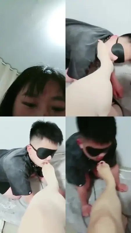 啊雪老师-帅气狗狗2.0