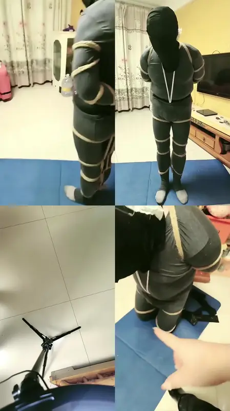 安心S-废物狗玩具丝袜捆鸡