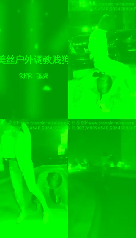 美丝大大-户外调教贱狗