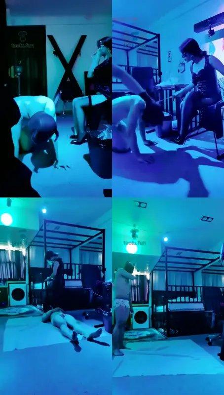 曳摇·晨晨-和我双调蠢狗