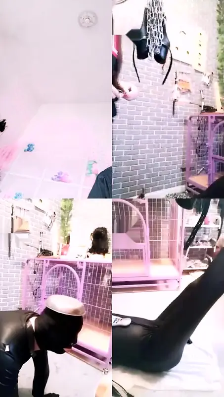 天香百合-笼子里有狗狗受刑