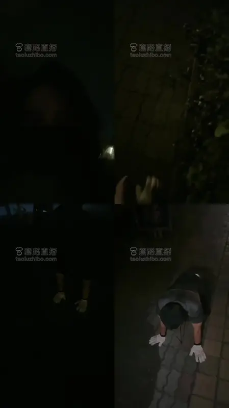 思诺-户外偶遇素人调成狗