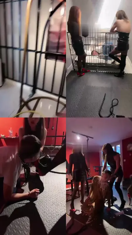 莉莉丝-双S超暴力各种手段虐狗