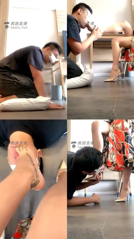 歌迪丝-学生狗很听话，我喜欢！