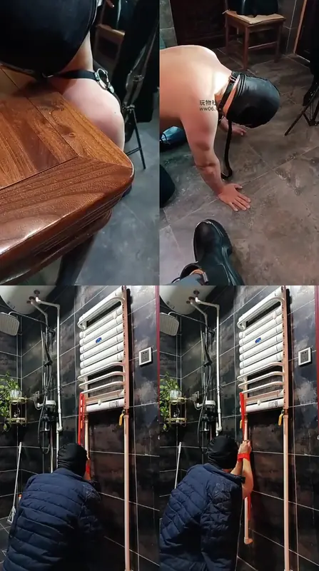 汝野S-骚贱狗双人调教3.0