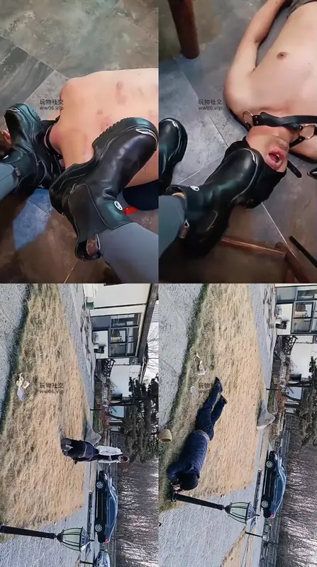 龙刖-死狗滚过来户外遛狗爬行清理脏鞋子