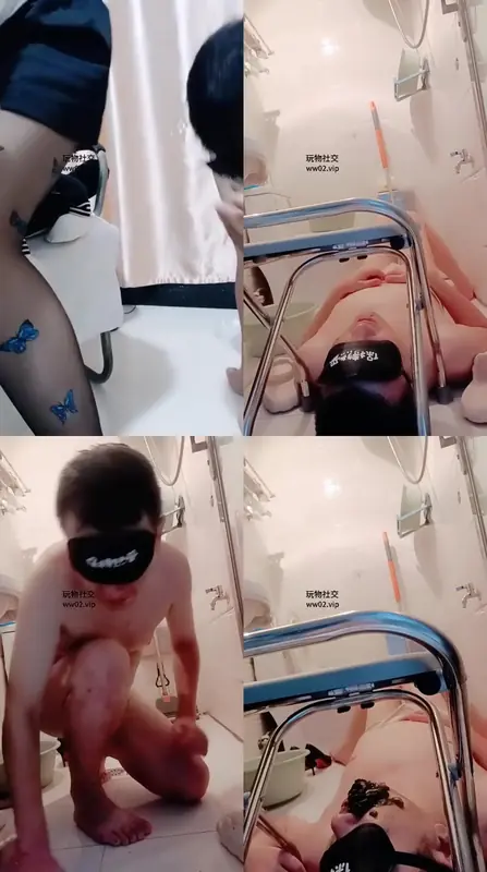 凤栖S-黄金月饼喂狗2.0