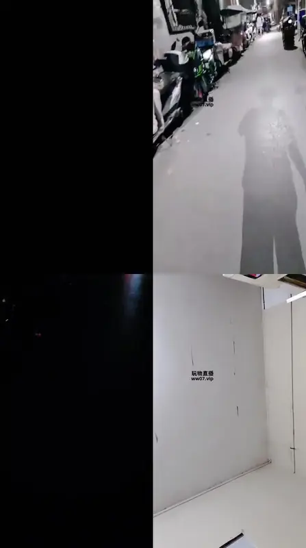 小李子-白丝骚鸡