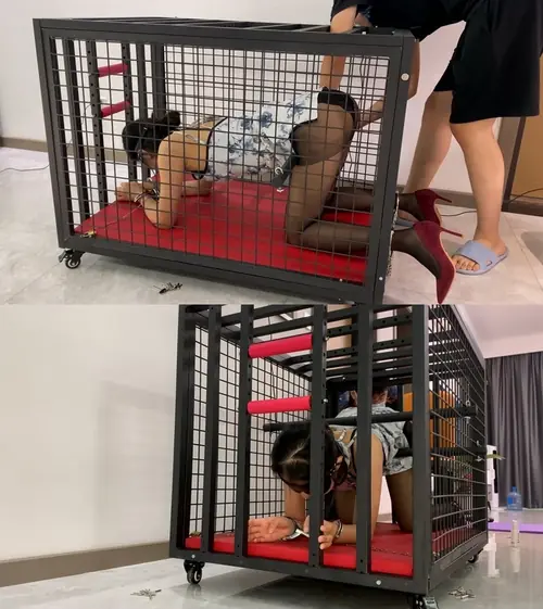 涵涵-旗袍黑丝 K9狗笼固定 PJGC