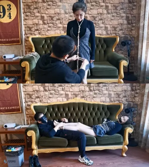 JS原创-嘉莉龟甲