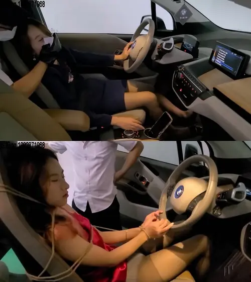 一往情深-车库迷案之千万不要做小三